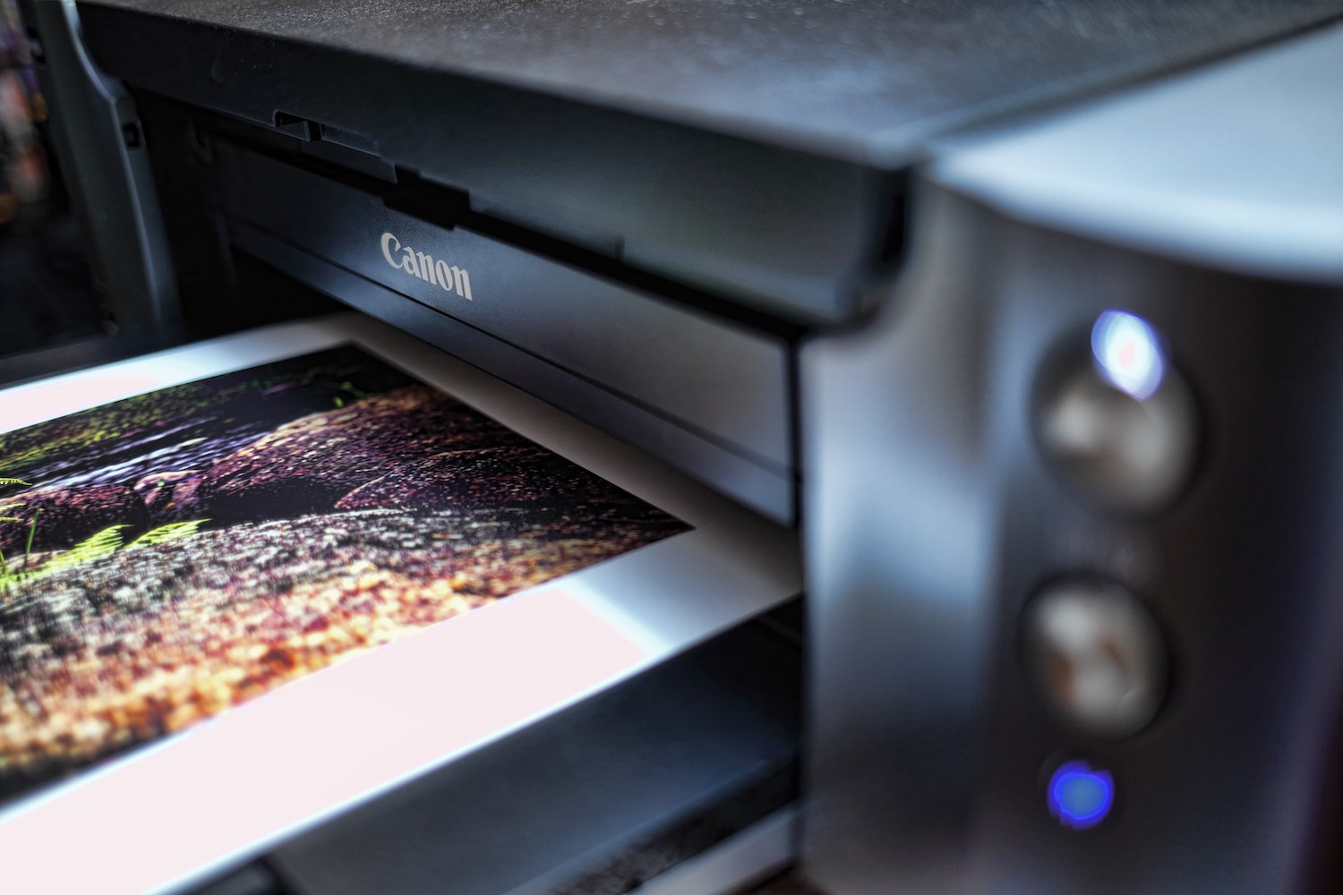 Printing on a Canon Pixma Pro printer.