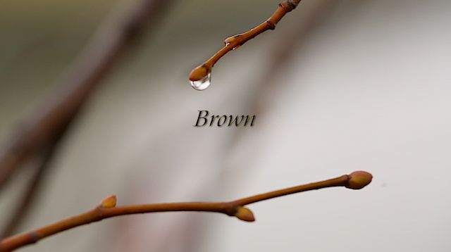 • Brown